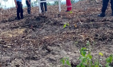 Diduga Pt.LPPPI Menggunakan Kelompok Tani Fiktif Kuasai Lahan Sekarang Selama 10 Tahun Lebih