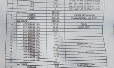 Dinas Kehutanan Provinsi Jambi Di Duga Tidak Berdaya Hilang Nya Hutan Cagar Alam Di Muara Papalik, Kabupaten Tanjabbar. Tegakkan UU No 5/1990 !!!!