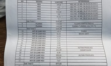 BKSDA Bungkam Terkait Perambahan Hutan Cagar Alam oleh PT. CKT
