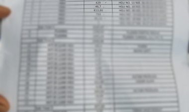 Wartawan Tanjabbar Siapp Menyurakan Terkait Perambah Hutan Yang Tidak Tersentuh Hukum