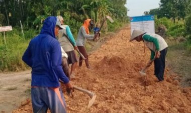Desa sungai buaya merealisasikan Pembangunan timbun tanah merah jalan usaha tani