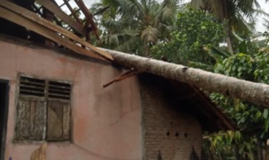 Puting Beliung Di Pekon Sidodadi Kecamatan Pardasuka Kabupaten Pringsewu Lampung