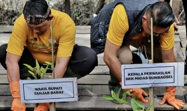 Wagup Bersama Bupati Hadiri Giat Penghijauan Kawasan Mangrove Pangkal Babu