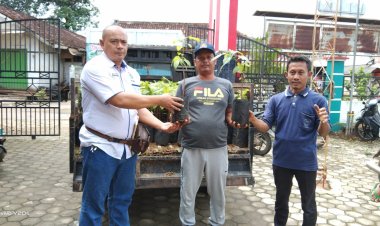 PEMBAGIAN BIBIT DI LAKSANAKAN DI BALAI PEKON BANYUMAS KABUPATEN PRINGSEWU