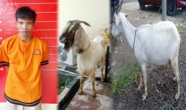 Curi Kambing di Tulang Bawang, Warga Ogan Ilir Ditangkap Polisi