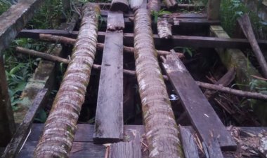 Jembatan Hubungan Persawahan Meunumbok Rusak Parah