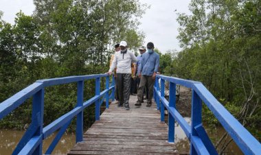Pemkab Tanjabbar Mengapresiasi Pembentukan Perdes Tentang Perlindungan Hutan Mangrove