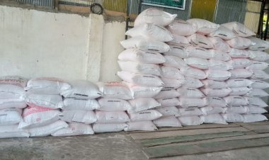 Dinilai Lumpuh Pengawasan, Pemilik Kios Pupuk Turatea Diduga Bebas Selundupkan Ke Luar Wilayah