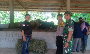 Petugas Puskeswan Laksanakan Vaksin Keternak Warga