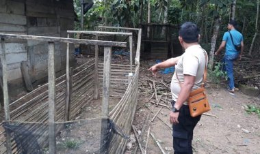 Polisi Gerebek Lokasi Judi Sabung Ayam di Penawartama