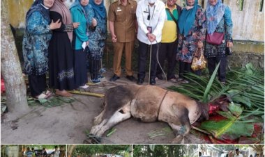 Ilyas : Mari kita ambil hikmah dari kisah Nabi Ibrahim AS