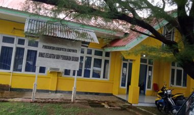 Kabid Budidaya Akui Tidak Tahu Besar Anggaran, Kadis Kelautan Jeneponto Disinyalir Pemimpin Tusuk Sate