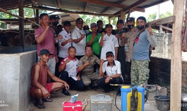 Cegah PMK Camat Trimurjo Dan Dinas Peternakan Kabupaten Lampung Tengah Berikan Vaksinasi Aftopor