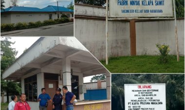 PKS Milik PT. KPN di Desa Tanjung Seri, Keluarkan Asap hitam, agar dichek Polusi Udaranya