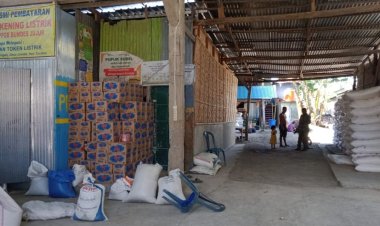 Diduga Jual Pupuk Keluar Daerah, Ketua Bumdes Jombe Dinilai Layak Diproses Hukum
