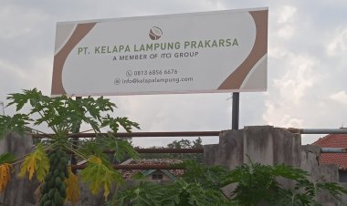Diduga tak Mengantongi izin PT. Kelapa Lampung Perkasa Berdiri di Kecamatan Katibung Lampung Selatan