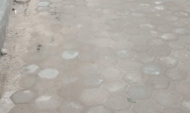 Tanpa Plang Proyek/Banner, Paving Block di Desa Rangai Tritunggal, Dipertanyakan Masyarakat