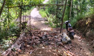 Miris !..Jembatan Penghubung Dua Dusun Desa Karya Tunggal Jadi Bahan Pertanyaan Warga