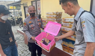 KSKP Bakauheni Polres Lamsel Polda Lampung, Kembali Amankan Burung dan Hewan Dilindungi Tanpa Dokumen Yang Sah