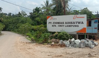Diduga Tidak Mematuhi UU No.13/2003 Oleh PT Aulia Mandiri Persada Outsourcing, PT Ciomas Adisatwa RPA-Unit Lampung