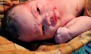 Warga Masyarakat Desa Mekar Jaya Panongan Digegerkan Dengan Penemuan Bayi Di Semak - Semak Di Duga Hasil Hubungan Gelap