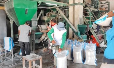Harga Beras Tembus Rp 11 Ribu Per Kilogram Di Rice Mill Kecamatan Wanasalam