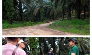 Berlarut !! Apakah KLHK Sengaja Membiarkan, Kasus Perambahan Hutan Cagar Alam Wilayah Muara Papalik