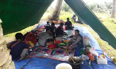 Masyarakat Adat Menduduki Lahan Sawit Sengketa di Talang Batu