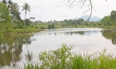 Air sungai wae sekampung meluap,terdampak luapan air akan mengalami kerugian hasil bumi