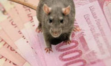 Tarik Sewa kantin di Salah Satu SMAN Metro Capai Seratus Juta