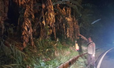 Polsek Cisarua Polres Bogor Gelar Olah TKP Lahan Kosong Yang Terbakar