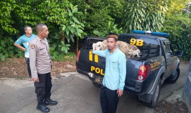 Warga Temukan 7 hewan Ternak Kambing, Pihak Kepolisian Langsung Amankan