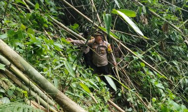 Polsek Ciawi Polres Bogor Selidiki di Temukannya Sesosok Mayat