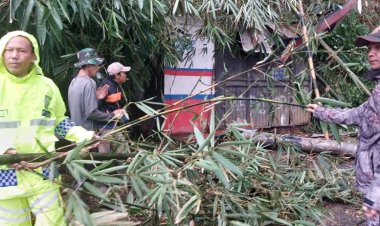 Tanah Longsor Tutup Akses Jalan Alternatif Cigombong-Cibadak - Cijeruk, Pihak Kepolisian Lakukan Pengalihan Arus Lalin