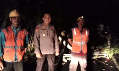 Mati Lampu Akibat Tersangkut Kendaraan Tronton Self Loader Yang Membawa Muatan Alat Berat Wheel Loader Mengakibatkan Empat Tiang Listrik Patah