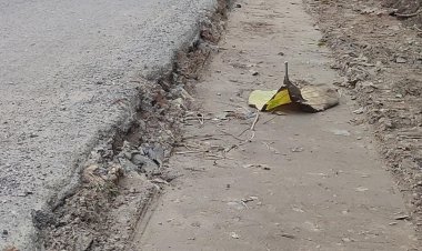 Diduga tidak menggunakan bahan material sesuai spesifikasi, Pekerjaan Rp.24,5 M Dinas PUPR Lamsel, sekretaris komando Garuda sakti aliansi Indonesia angkat bicara