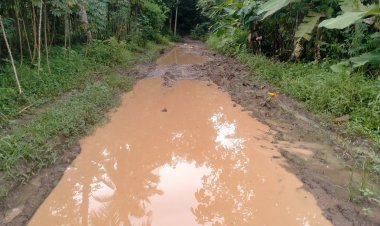 Lapor Pak Bupati!!! Jalan Penghubung Kabupaten pesawaran- Lampung Selatan Rusak Parah