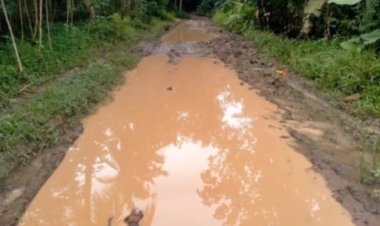 Parah!!! Jalan penghubung dua Desa, Maupun Dua Kabupaten Keadaan Rusak Parah Persis Seperti Kubangan  Lumpur