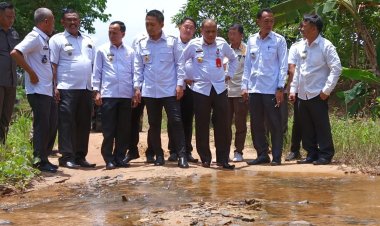 Ardian tinjau jalan penghubung di Kecamatan Muara sungkai