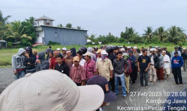 Diduga PT. KCMU Tidak Kantongi HGU Petani Plasma di Pesisir Barat Tuntut Kembalikan Sertifikat Masyarakat