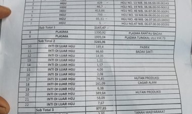 Di Harapkan Wakil Rakyat Yang Bertengger Di Parlemen Tuntaskan Peristiwa Hutan Cagar Alam Di Muara Papalik