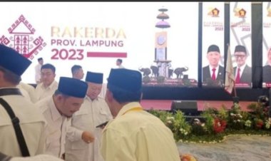 Wahrul Dicopot dari Ketua Nasdem Lampung Selatan