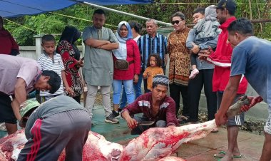 Plt Sekda Erny R. Tania dan KMB, Sumbangkan 2 Ekor Sapi, dan Hadir Saksikan  Penyembelihan Hewan Qurban di Masjid Al-Hikmah Panduami, "Semoga Menjadi Berkah untuk Kita Semua" 