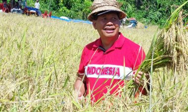 Dukung Pertanian Padi Pemda Kepulauan Yapen Rencanakan APBD 2023 untuk "Pembukaan Lahan Pertanian dan Pengadaan Bibit"