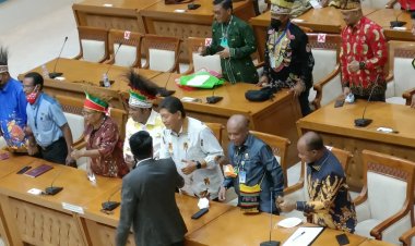 Asosiasi Bupati Wilayah Adat Saireri Lakukan Audience Pendampingan Calon DOB bersama Badan Legislasi Nasional