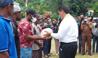 Moment HUT ke-53, Bupati Tonny Tesar Serahkan Bantuan 30 Ribu Benih Ikan Baramundi (Kakap Putih) untuk 15 Kelompok Pembudidaya