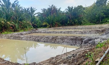 Dorong Ketahanan Pangan, Pemdes Silui Tuntaskan Pembuatan Empang Untuk Budidaya Ikan Air Tawar