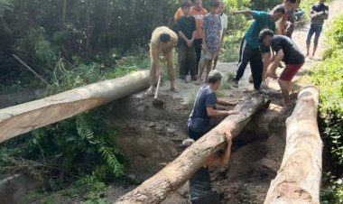 Akses Jalan Terputus, Pemdes Wesinggote Kolaka Timur Bersama Warga Gotongroyong Bangun Jembatan Kayu