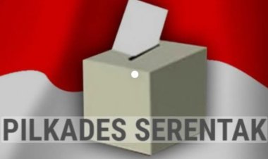 Pelantikan 83 Kepala Desa Hasil Pilkades Serentak Di Koltim Bakal Dimulai Besok, Berikut Jadwalnya