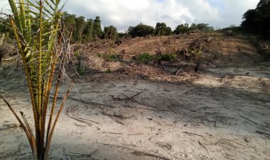 Terkait Dugaan Penyerobotan Lahan Milik Warga Uepai, PT.Sumber Alam Karya Sejahtera (SAKS) Siap Bertanggungjawab